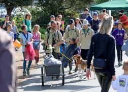 Sauber Gemacht 500 Freiwillige Beim SaalePUTZ In Jena 19